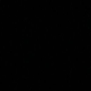 Meet your Posher, Callie